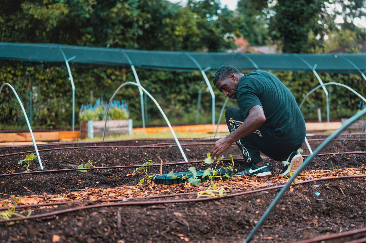 Basic Monthly Garden Maintenance