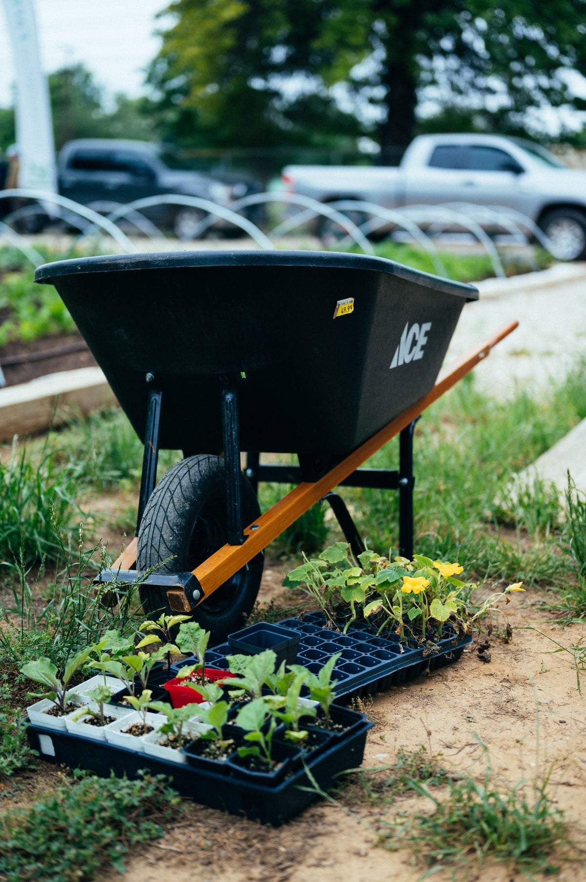 Planting Services