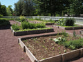 Garden Bed Installation