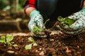 Grow Your Own Groceries - Medium Bundle